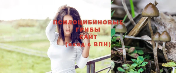 ALPHA-PVP Куйбышев